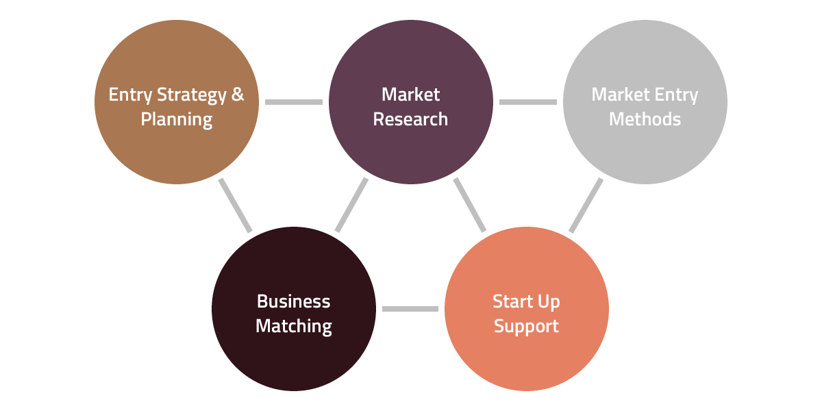 Market Entry Program